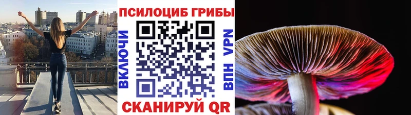 Псилоцибиновые грибы мухоморы закладка Куровское